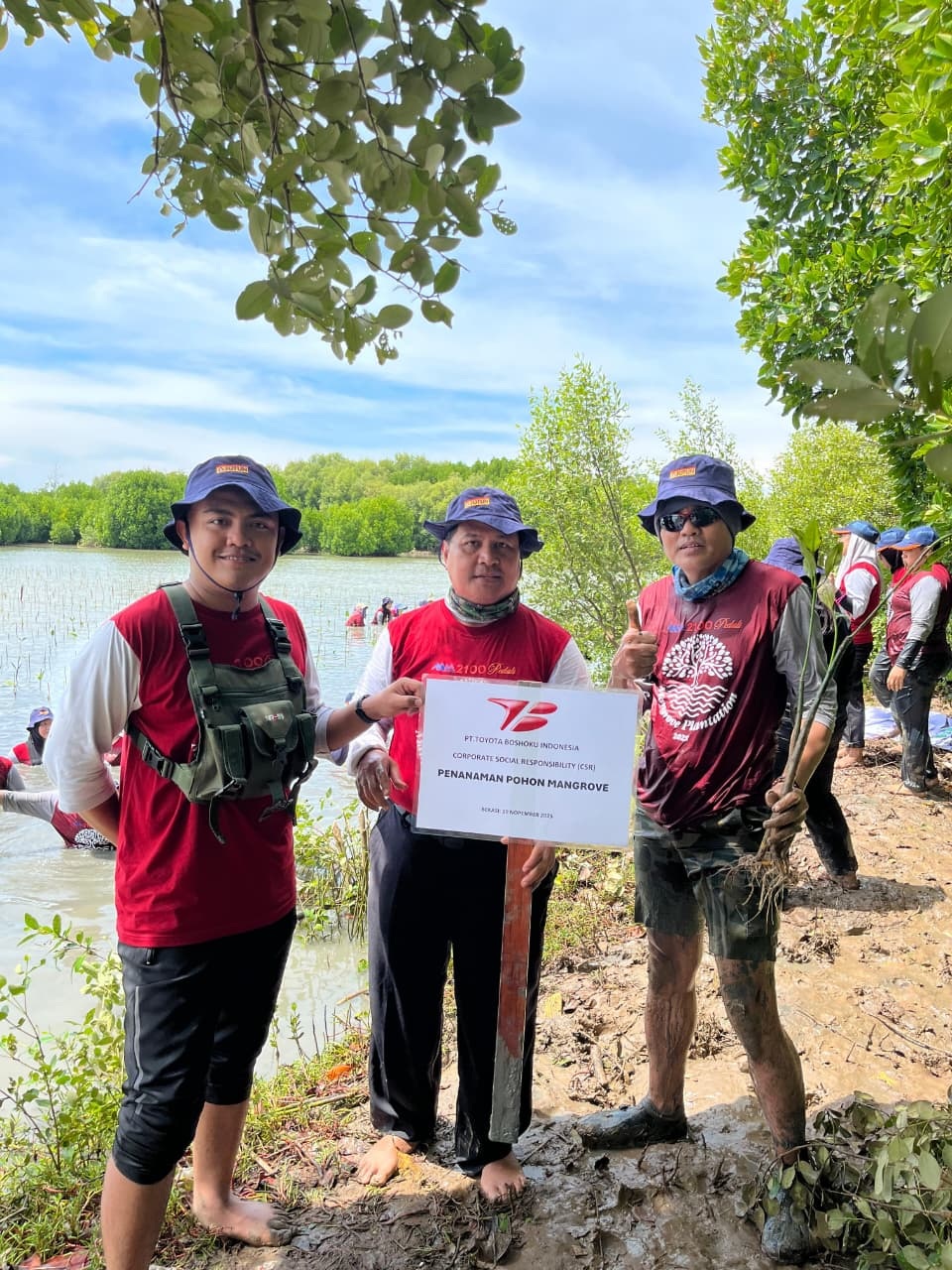 Penanaman Bibit Mangrove